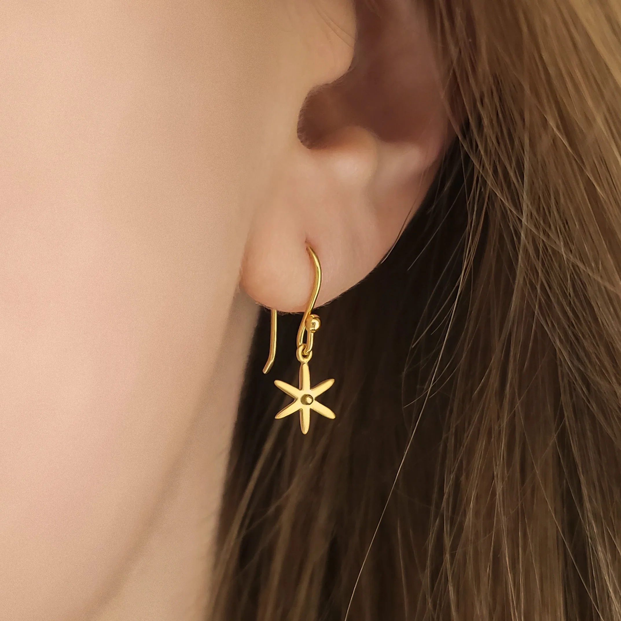 Mini 'Celestial' Star Earrings