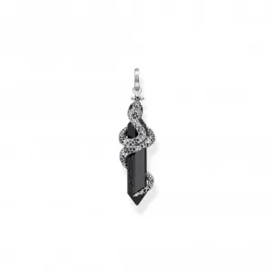 Sterling Silver Blackened Onyx With Snake Pendant PE944-641-11