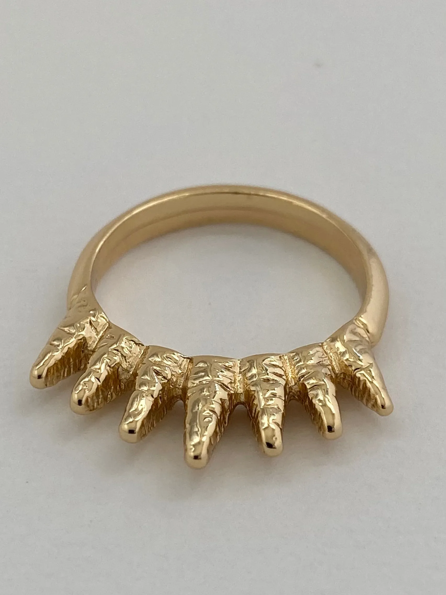 The Errol Spike Ring